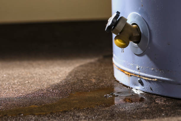 Best Water damage restoration near me  in St Augusta, MN