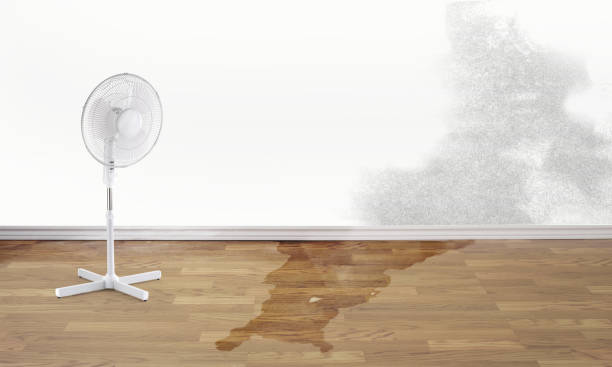 Best 24/7 water damage repair  in St Augusta, MN