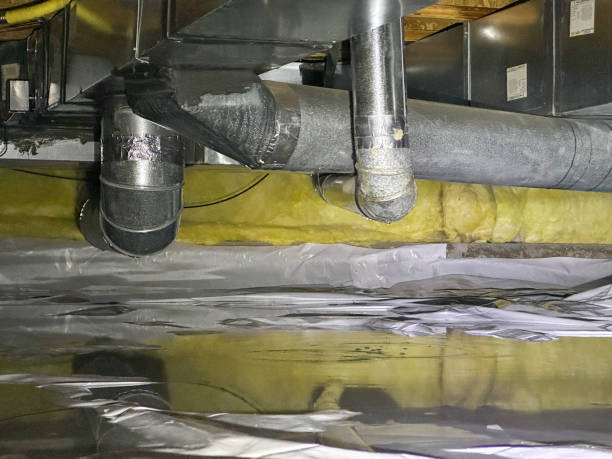 Best Commercial water damage restoration  in St Augusta, MN